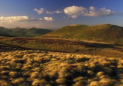 Picture of Northumberland Countryside