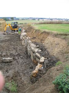 picture of rock wall - click for larger image. Opens in new tab