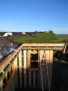 picture of turfing the roof - click for larger image. Opens in new tab