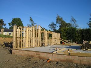 picture of first wall up - click for larger image. Opens in new tab