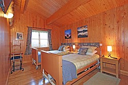 picture of twin electric beds - click for larger image. Opens in new tab