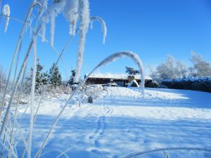 picture of Hytte from the bottom of the field - click for larger image. Opens in new tab